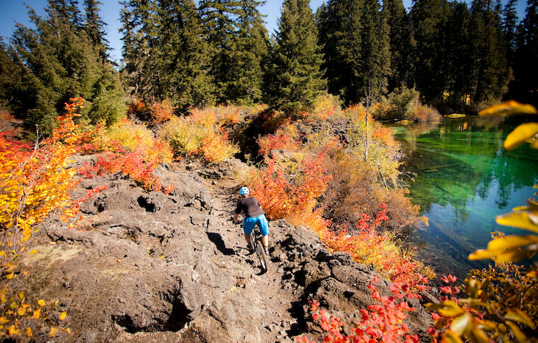 washington nature tour