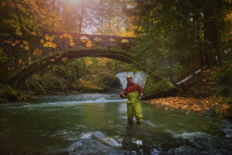 Location:
Whatcom Falls, Bellingham, Salish Sea  Credit:
Jimmy Smithson/The Image Bank via Getty Images via Washington Tourism Alliance