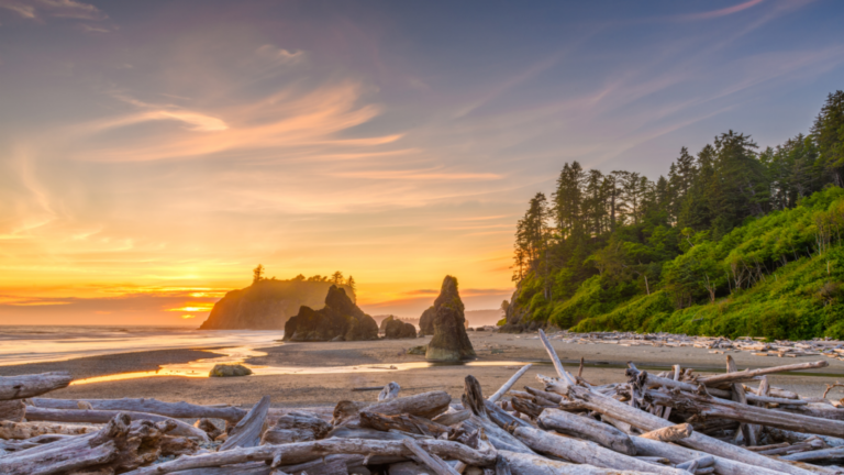Olympic National Park | Copyright via CanvaPro image by Sean Pavone from Getty Images Pro