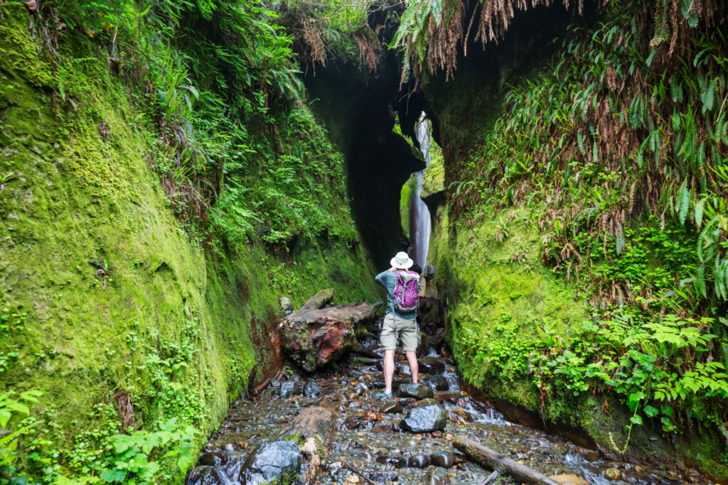 Waterfall hike