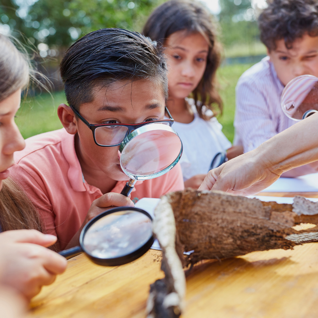 Young school group students examine natural elements
