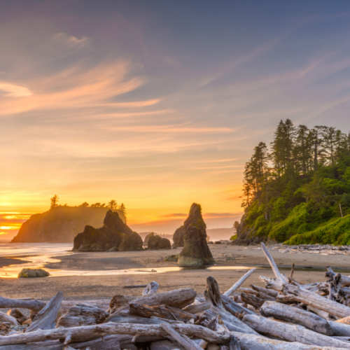Olympic National Park | Copyright via CanvaPro image by Sean Pavone from Getty Images Pro
